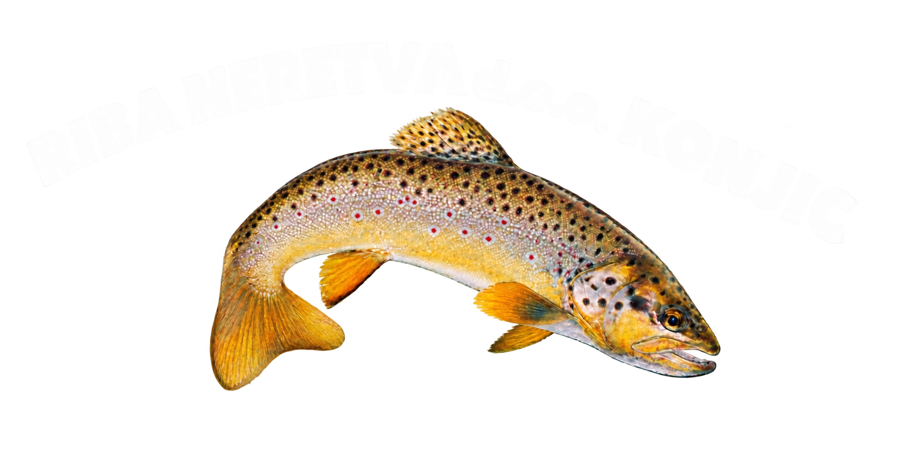 Riba Neretva d.o.o. Konjic